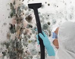 Best Environmental Consulting for Mold Prevention  in Prosperity, SC